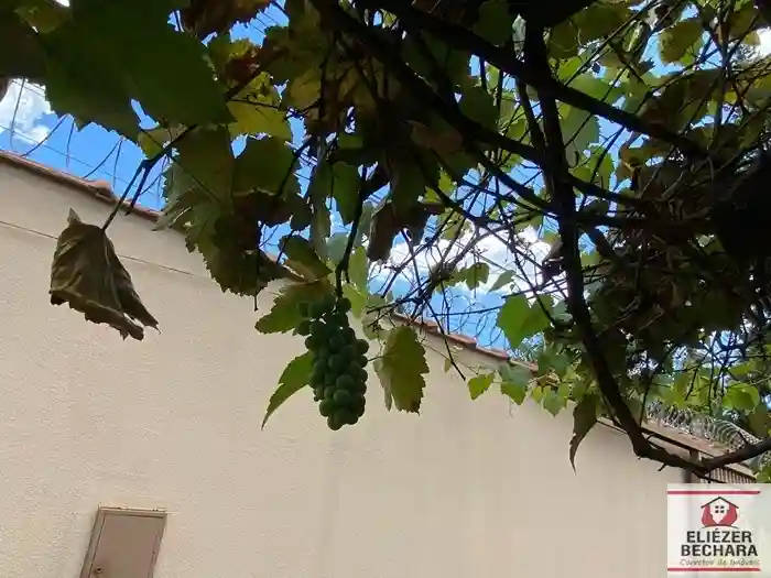 Fazenda / Sítio / Chácara com 3 quartos à venda, 1000m² — foto 19 de 33