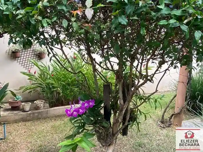 Fazenda / Sítio / Chácara com 3 quartos à venda, 1000m² — foto 13 de 33