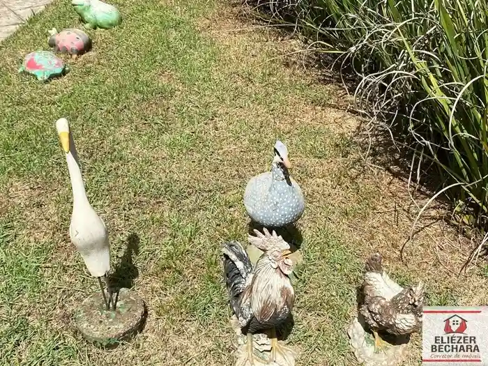 Fazenda / Sítio / Chácara com 3 quartos à venda, 1000m² — foto 25 de 33