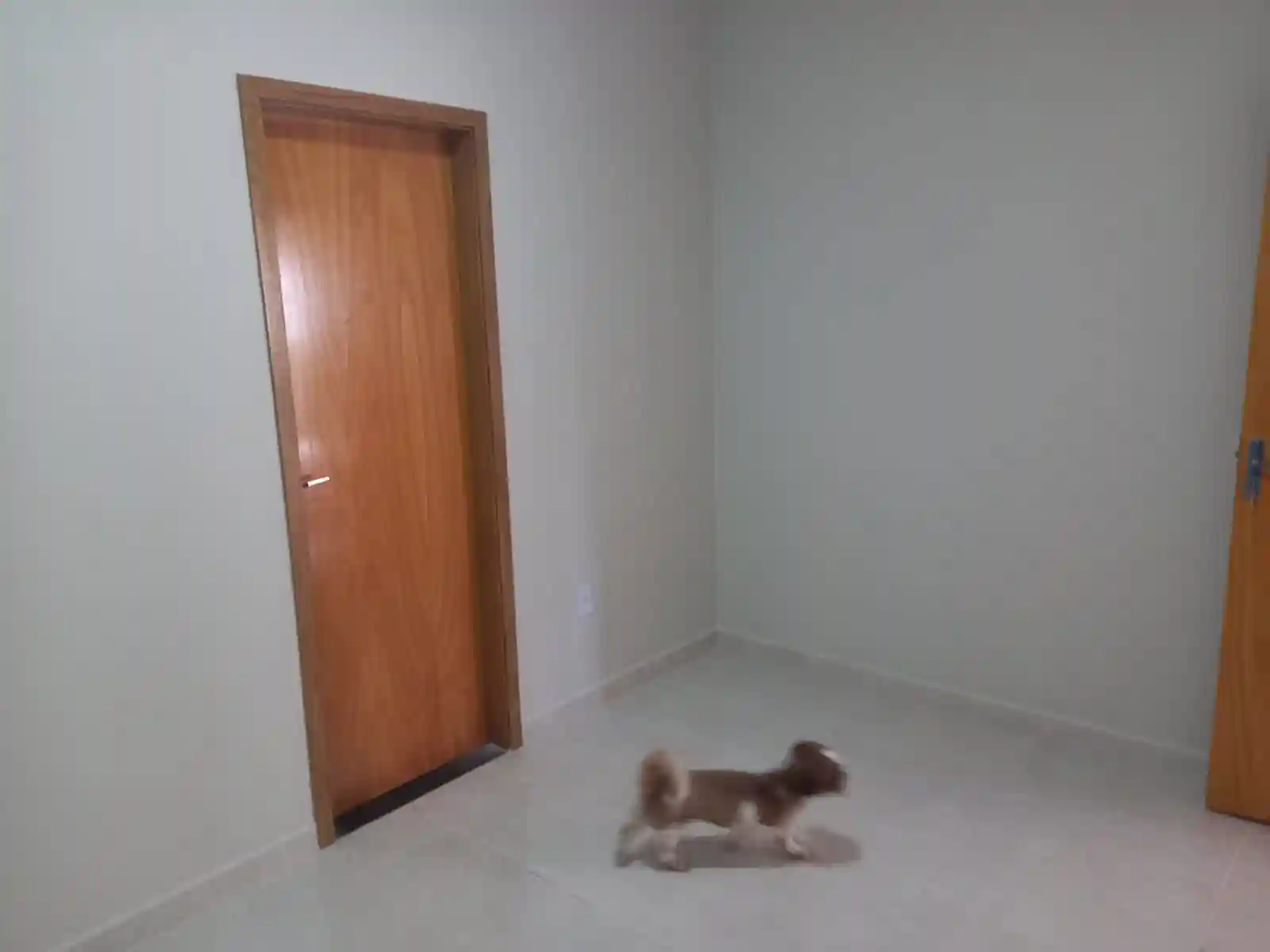Casa com 2 quartos à venda, 70m² — foto 12 de 21