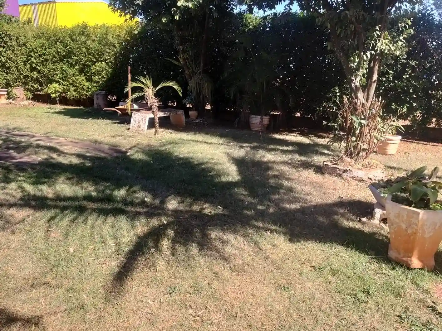 Fazenda / Sítio / Chácara com 2 quartos à venda, 1000m² — foto 18 de 23