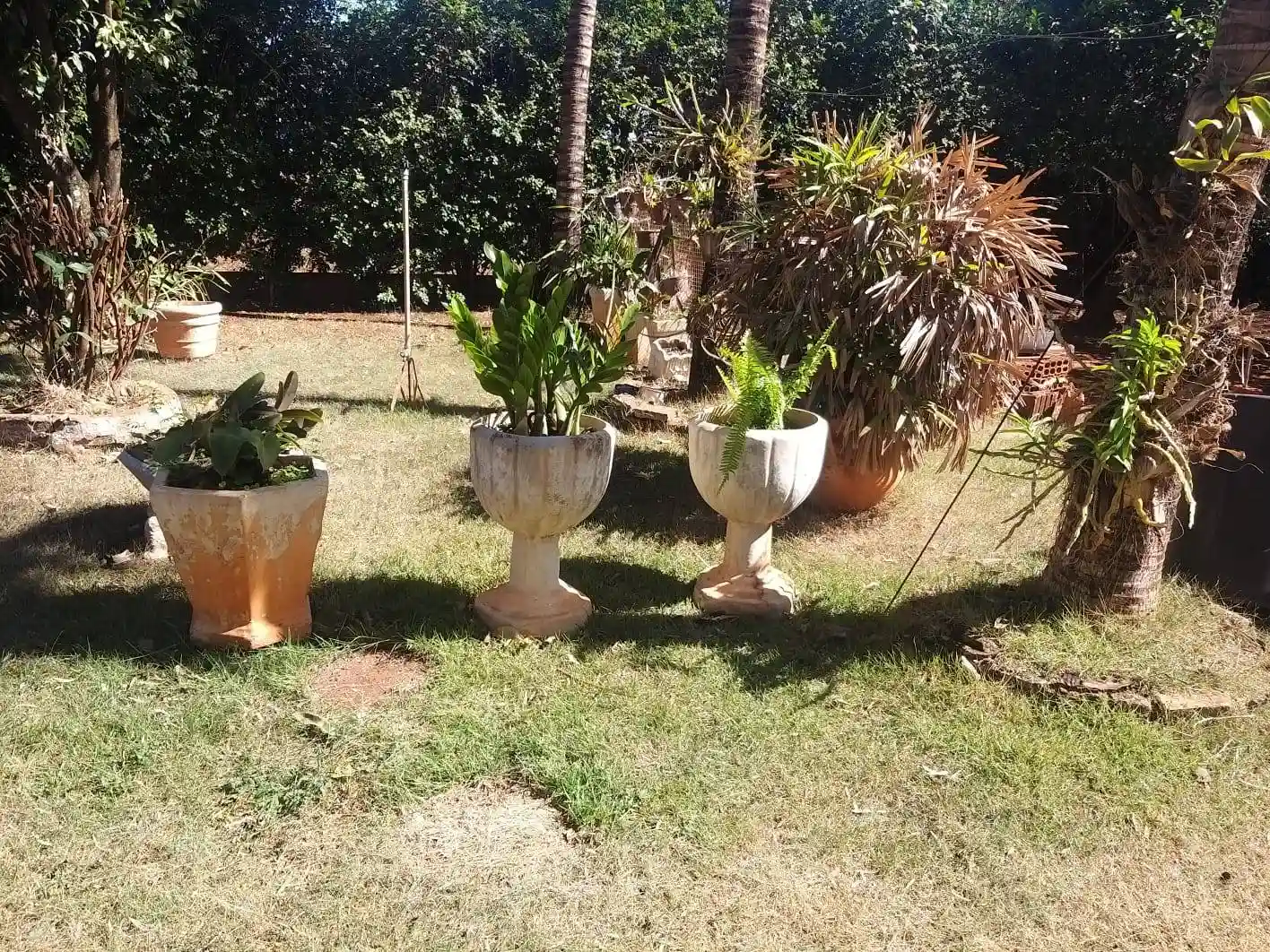 Fazenda / Sítio / Chácara com 2 quartos à venda, 1000m² — foto 22 de 23