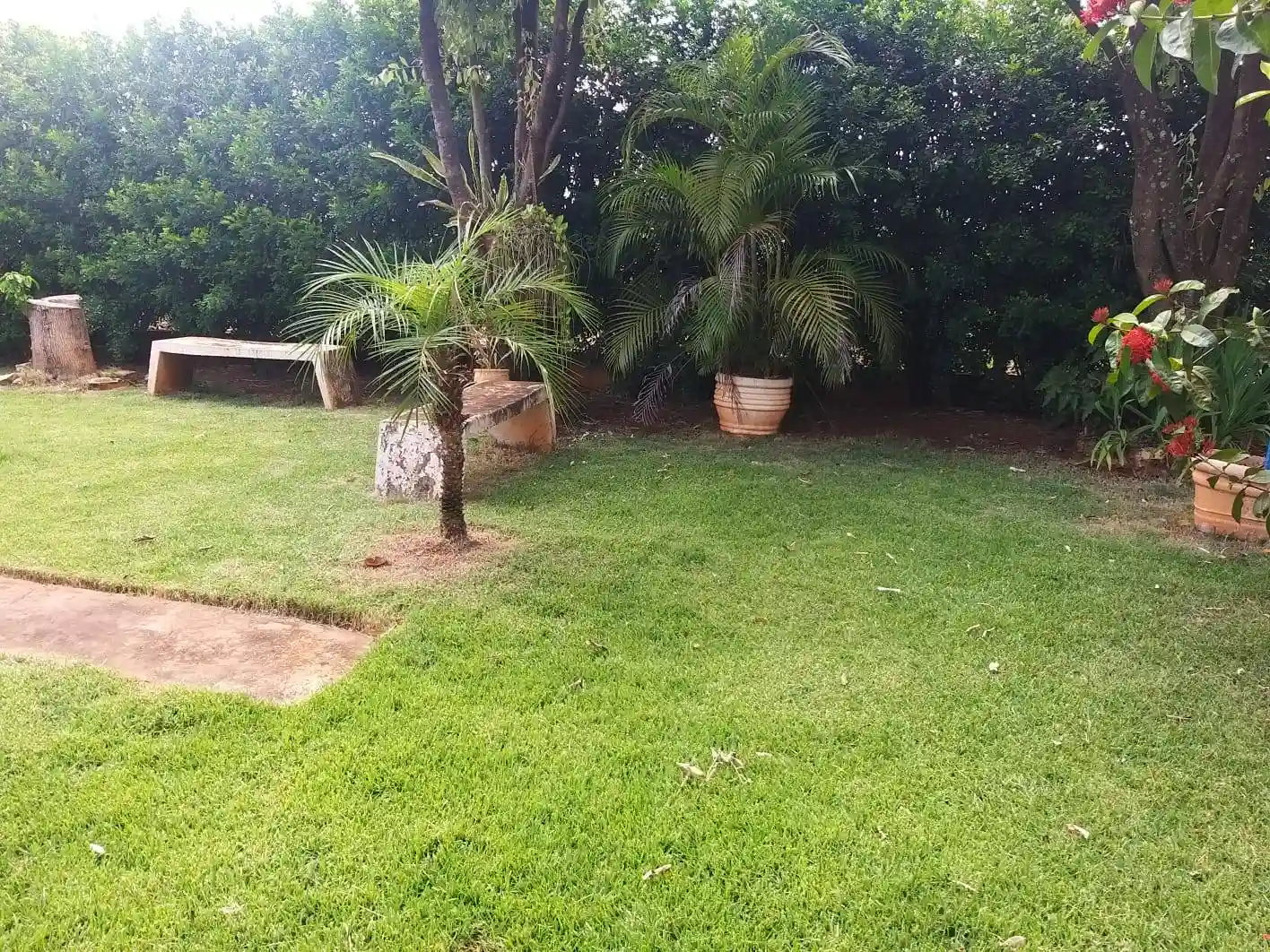 Fazenda / Sítio / Chácara com 2 quartos à venda, 1000m² — foto 2 de 23