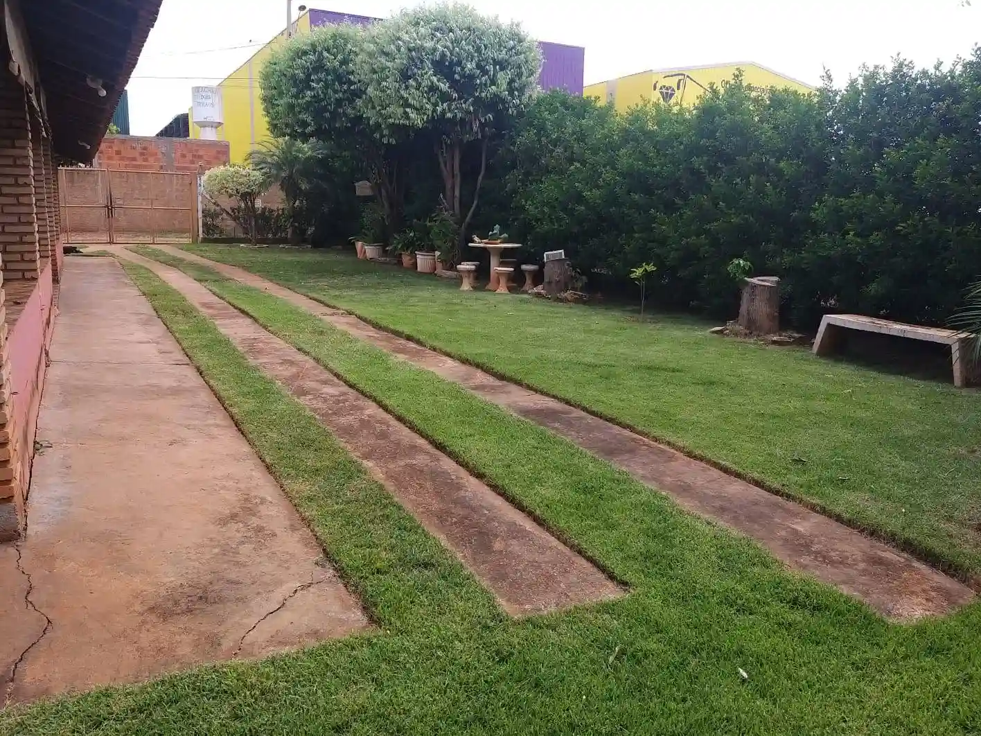 Fazenda / Sítio / Chácara com 2 quartos à venda, 1000m² — foto 5 de 23