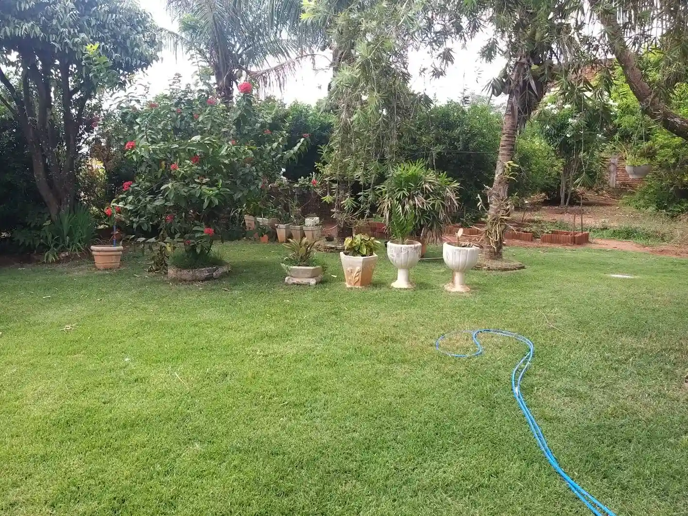 Fazenda / Sítio / Chácara com 2 quartos à venda, 1000m² — foto 10 de 23