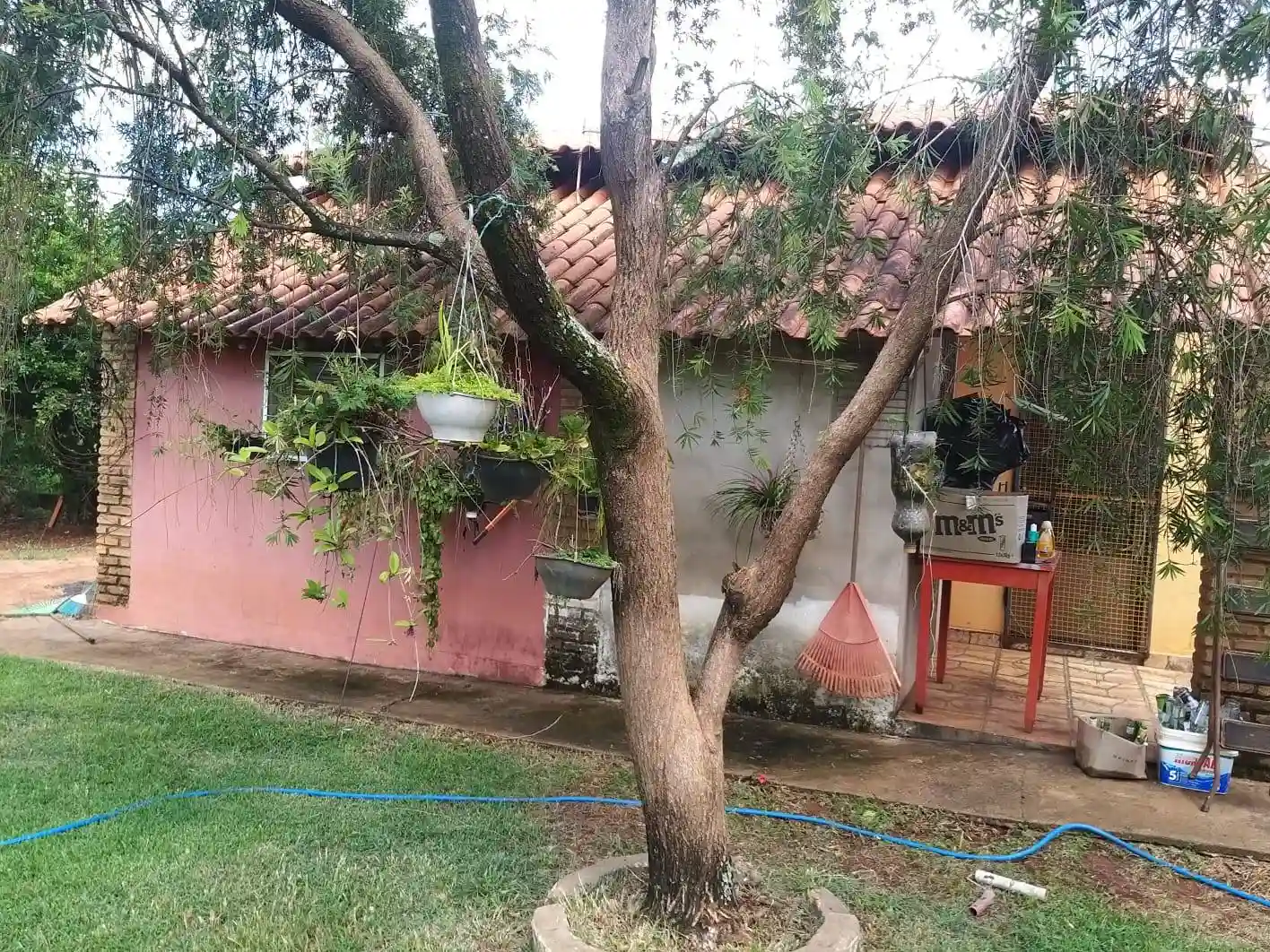 Fazenda / Sítio / Chácara com 2 quartos à venda, 1000m² — foto 14 de 23