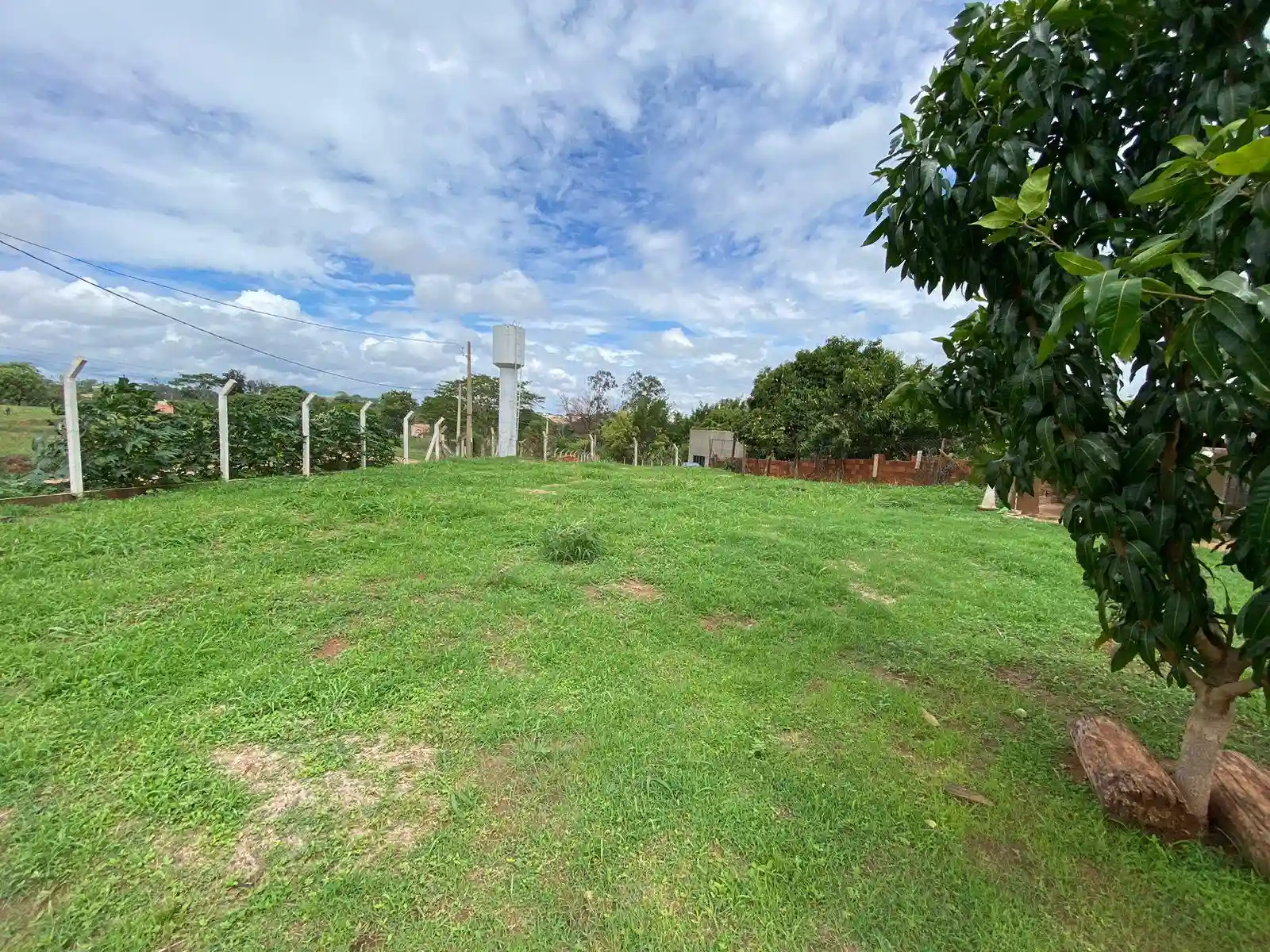 Fazenda / Sítio / Chácara com 2 quartos à venda, 1700m² — foto 23 de 33