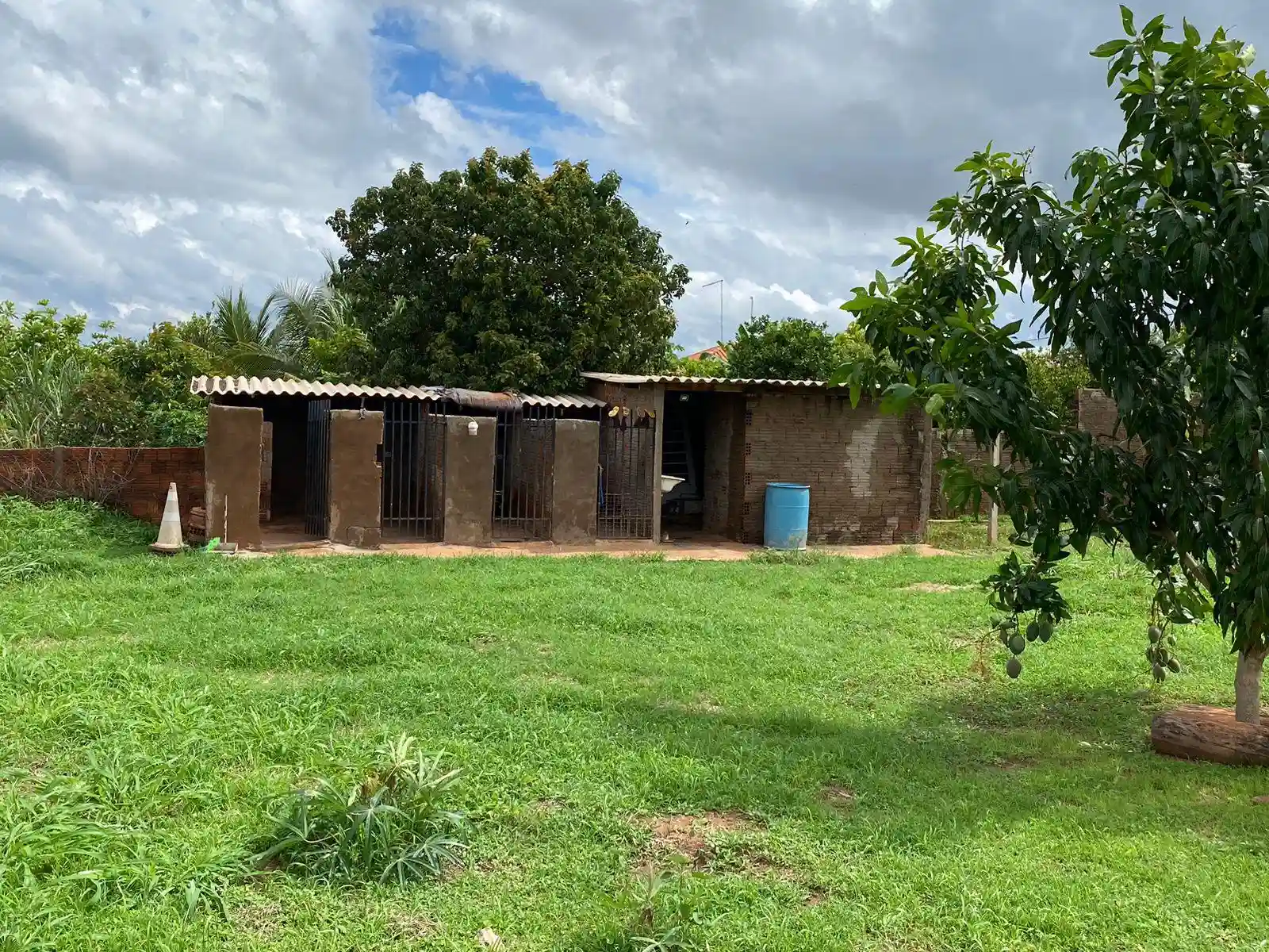 Fazenda / Sítio / Chácara com 2 quartos à venda, 1700m² — foto 24 de 33