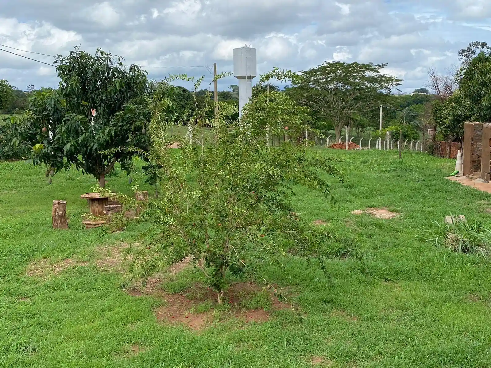 Fazenda / Sítio / Chácara com 2 quartos à venda, 1700m² — foto 32 de 33
