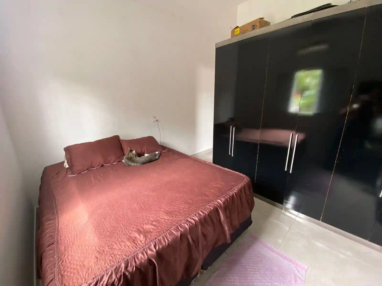 Fazenda / Sítio / Chácara com 2 quartos à venda, 1700m² — foto 17 de 33