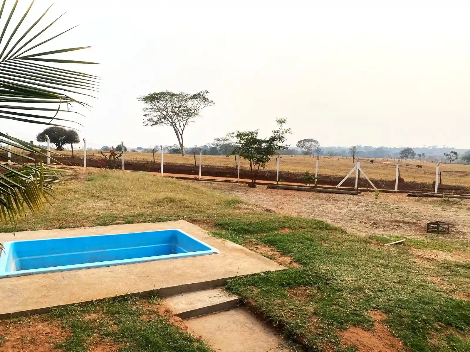 Fazenda / Sítio / Chácara com 2 quartos à venda, 1700m² — foto 3 de 33