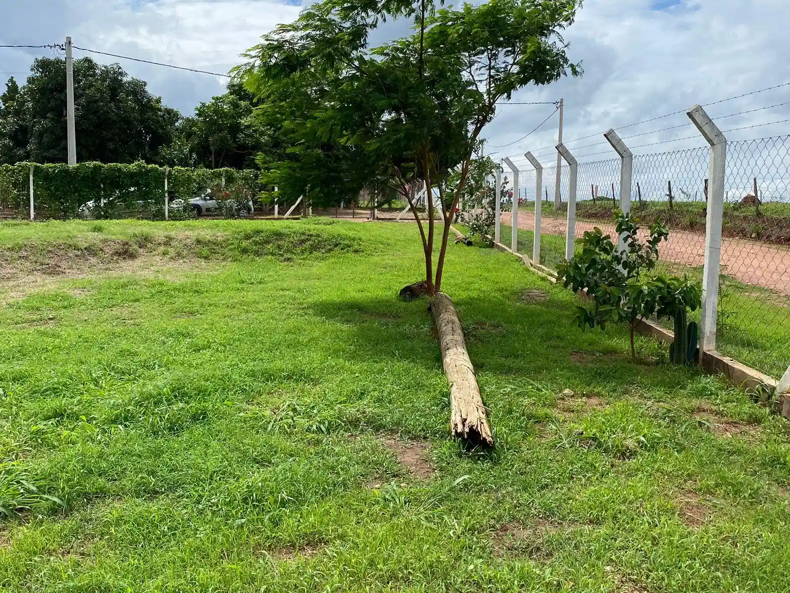Fazenda / Sítio / Chácara com 2 quartos à venda, 1700m² — foto 25 de 33