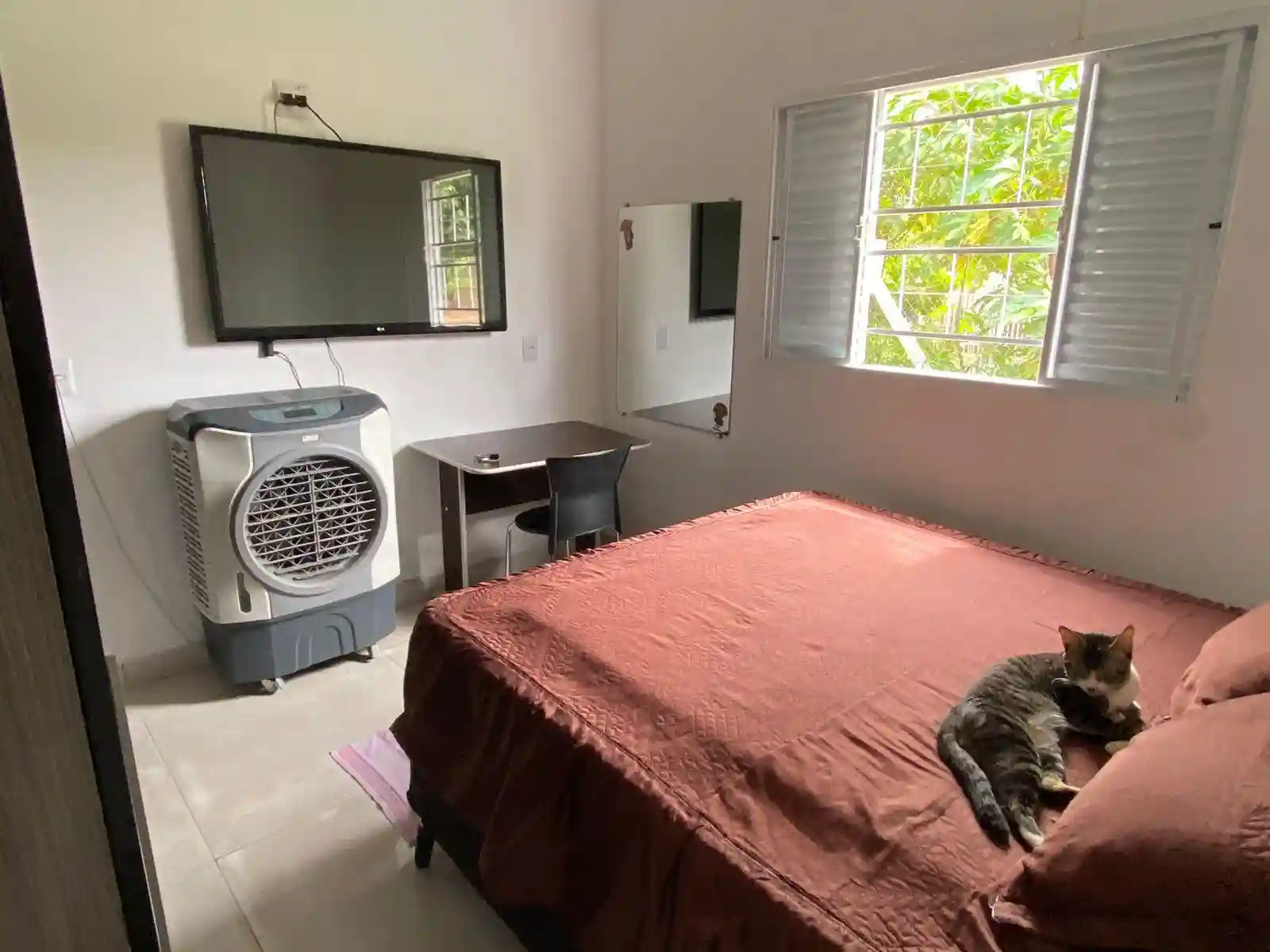 Fazenda / Sítio / Chácara com 2 quartos à venda, 1700m² — foto 16 de 33