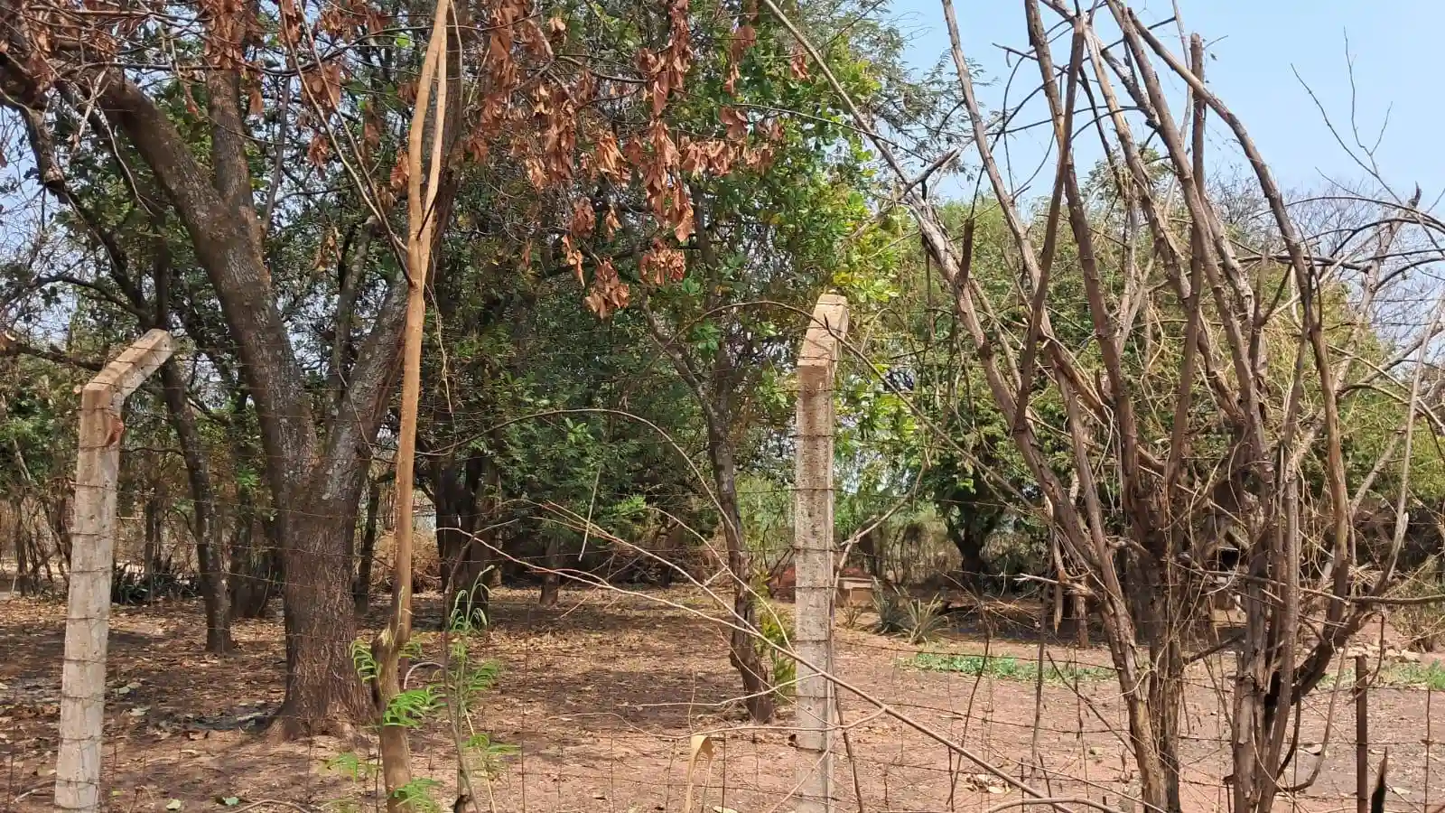 Fazenda / Sítio / Chácara com 2 quartos à venda, 2000m² — foto 2 de 14