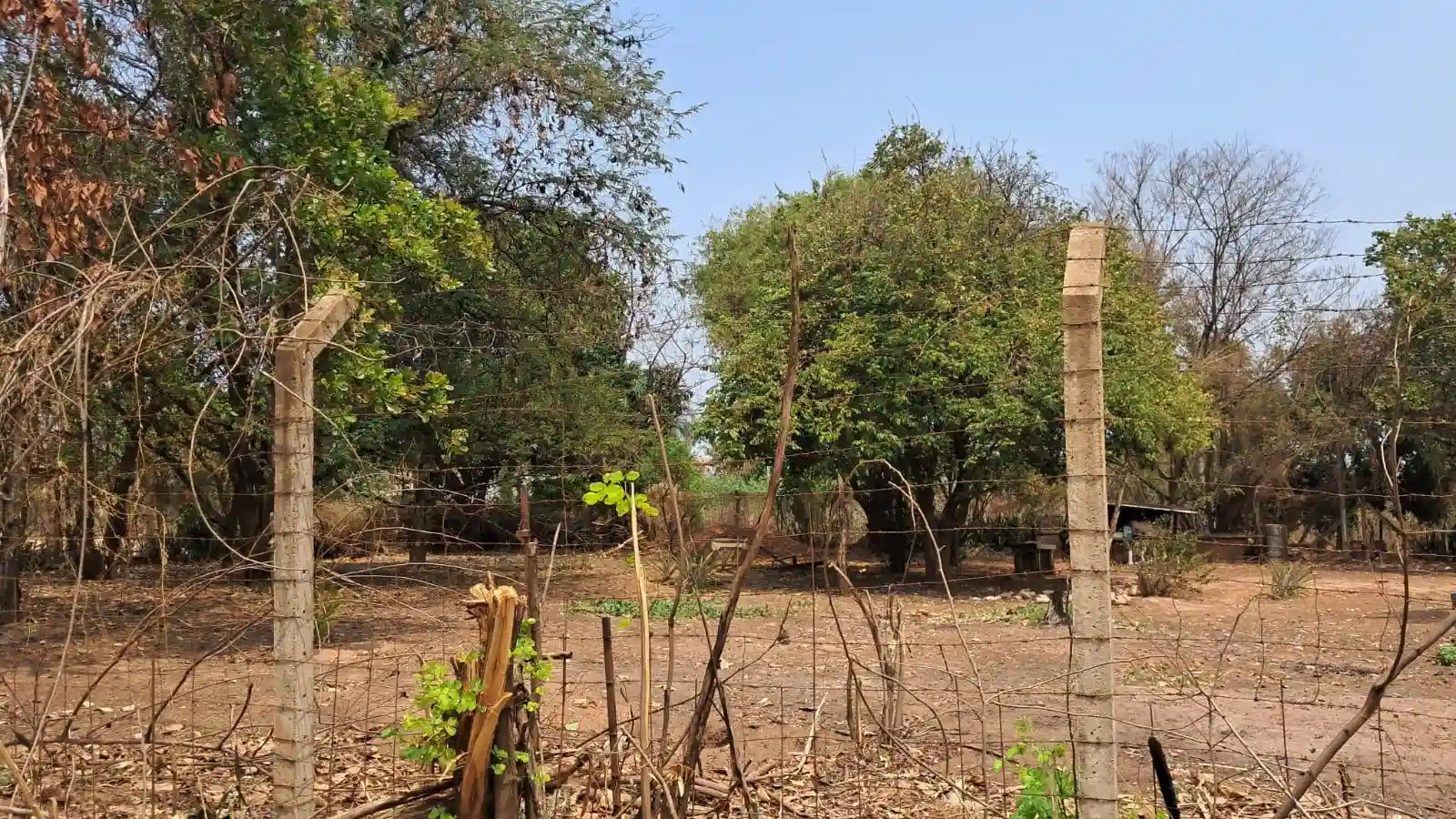 Fazenda / Sítio / Chácara com 2 quartos à venda, 2000m² — foto 4 de 14