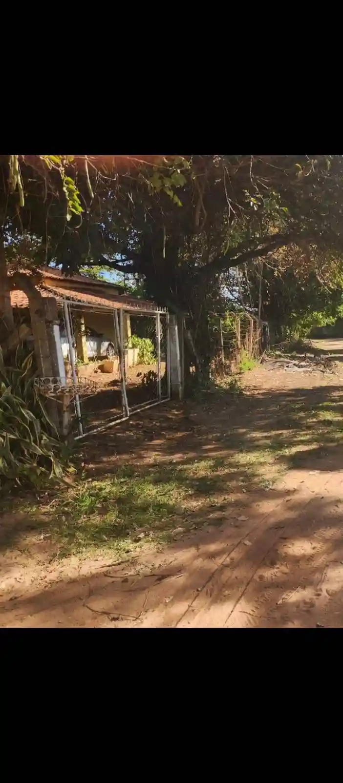 Fazenda / Sítio / Chácara com 2 quartos à venda, 2000m² — foto 10 de 14