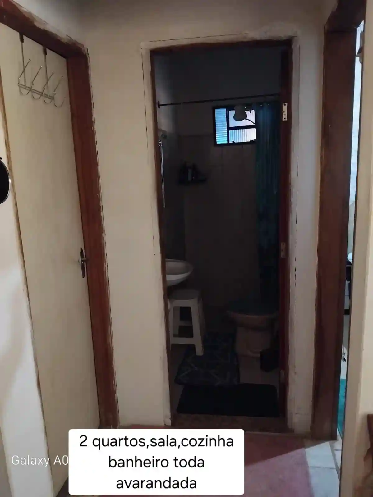 Fazenda / Sítio / Chácara com 2 quartos à venda, 2000m² — foto 13 de 14