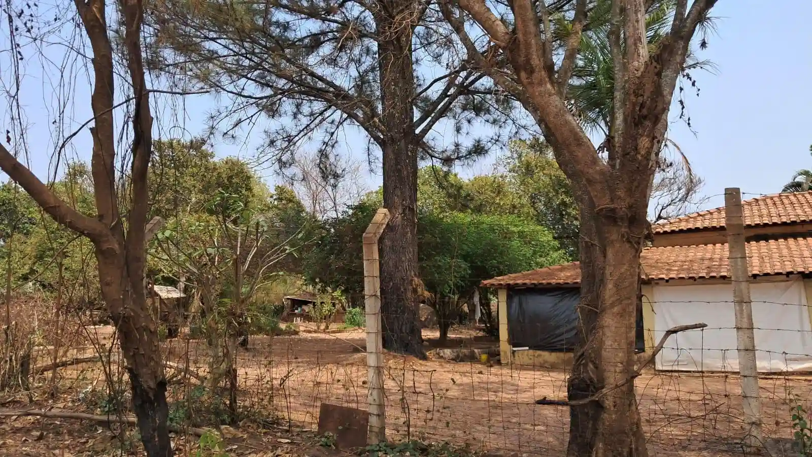 Fazenda / Sítio / Chácara com 2 quartos à venda, 2000m² — foto 7 de 14