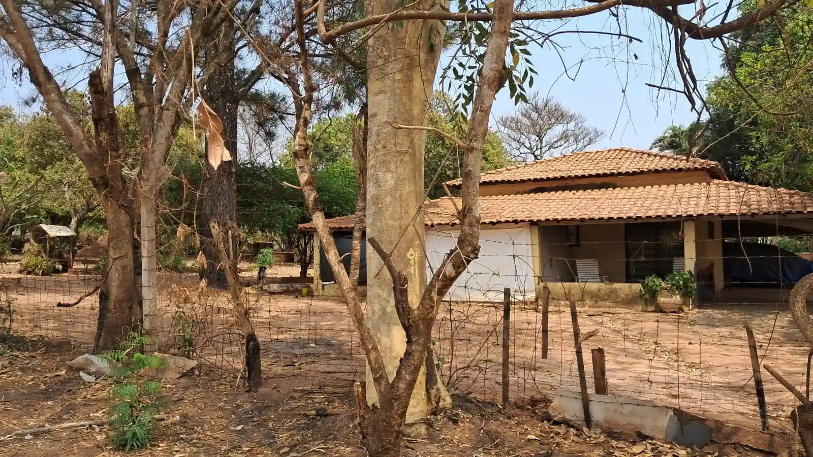 Fazenda / Sítio / Chácara com 2 quartos à venda, 2000m² — foto 6 de 14