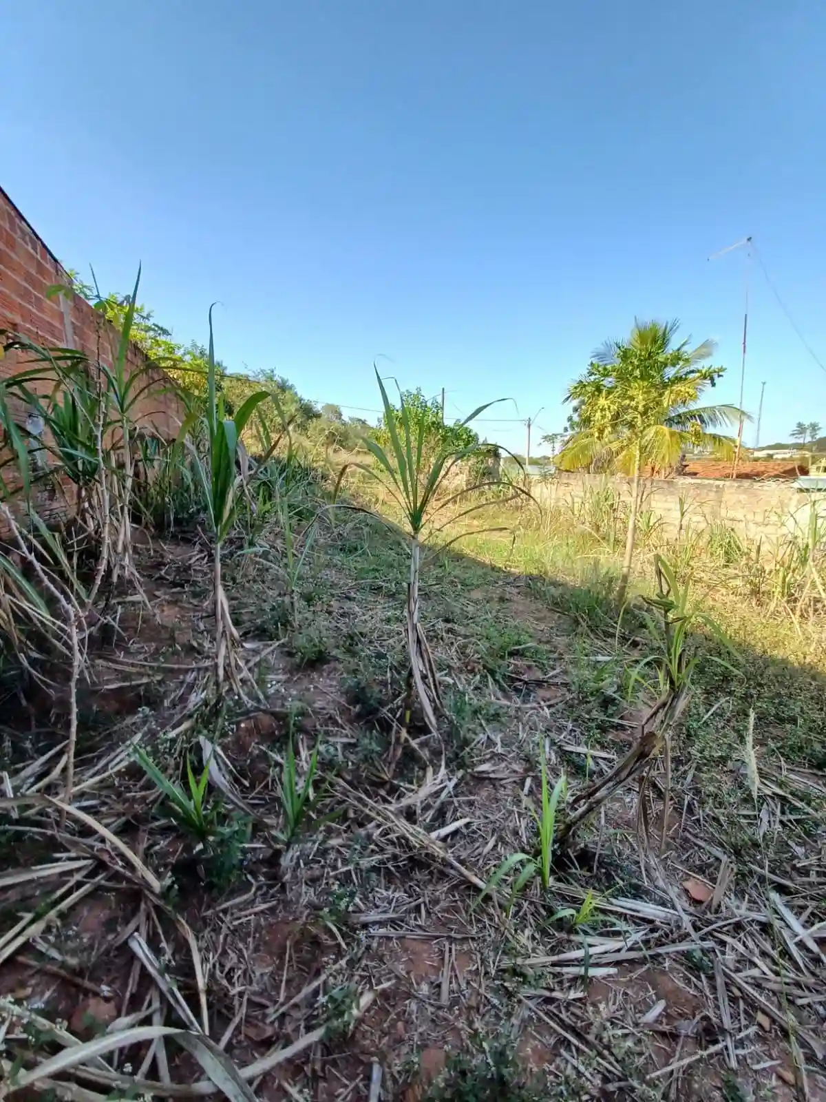 Terreno / Lote / Condomínio  à venda, 1440m² — foto 2 de 3