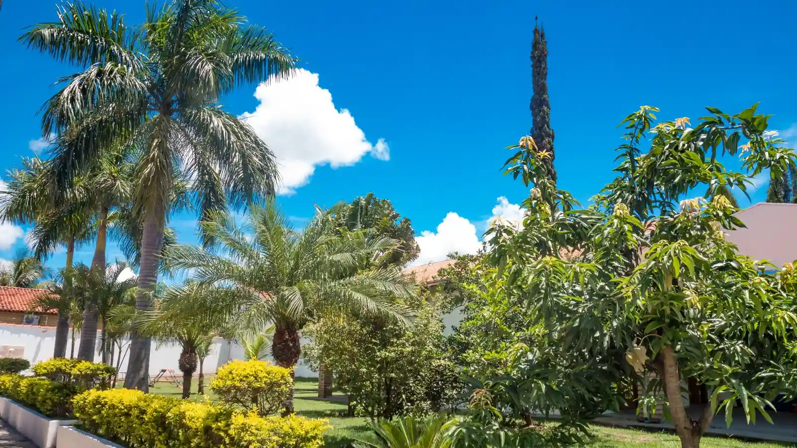 Casa de Condomínio com 6 quartos à venda, 398m² — foto 38 de 40