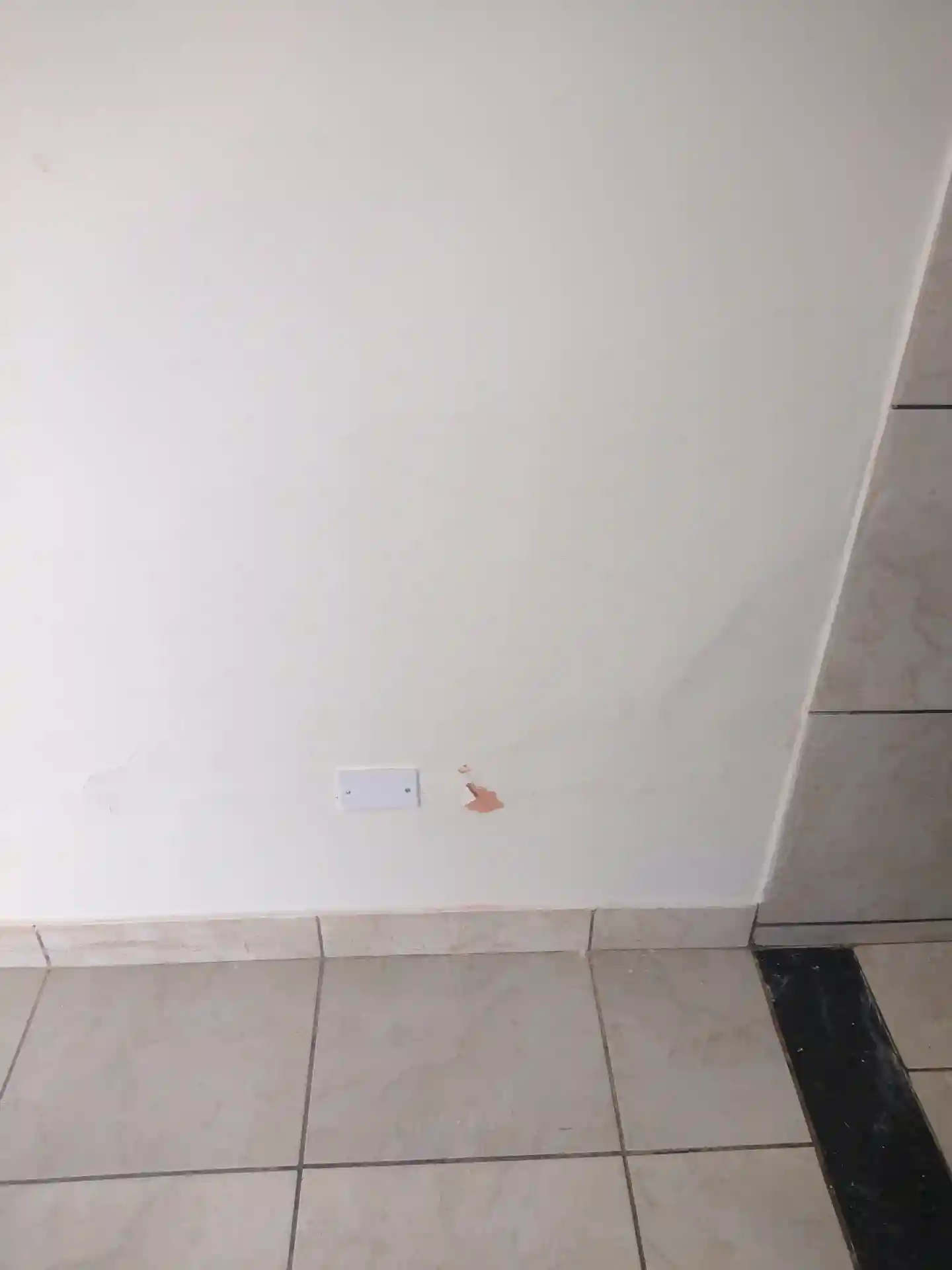 Casa  para aluguel, 70m² — foto 2 de 24
