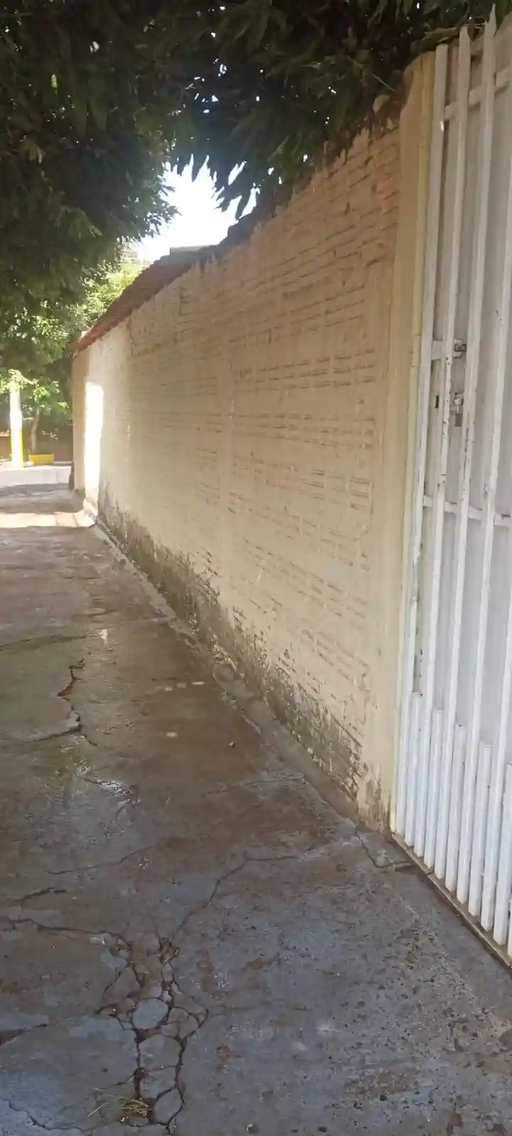 Casa com 3 quartos à venda, 109m² — foto 9 de 23