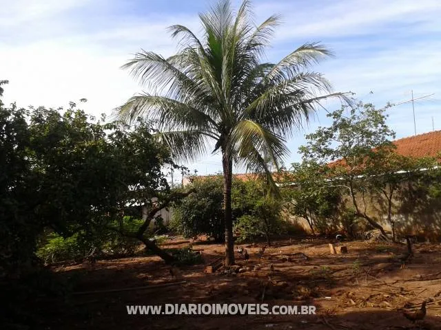 Terreno / Lote / Condomínio à venda — foto 4 de 4