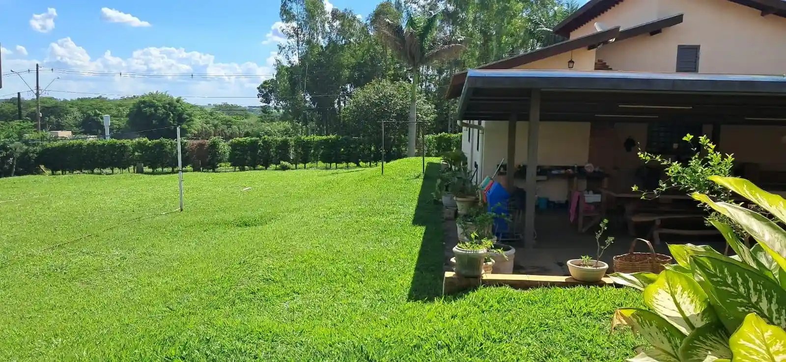 Fazenda / Sítio / Chácara com 3 quartos à venda, 5000m² — foto 20 de 33