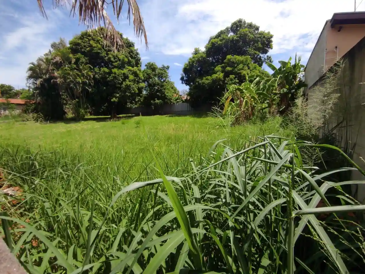 Fazenda / Sítio / Chácara  à venda, 2260m² — foto 24 de 25
