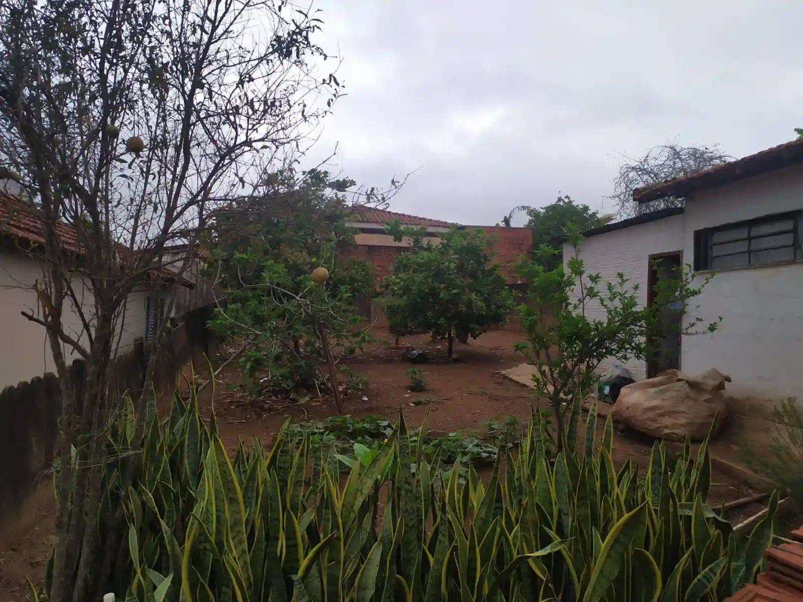 Casa com 3 quartos à venda, 90m² — foto 10 de 11