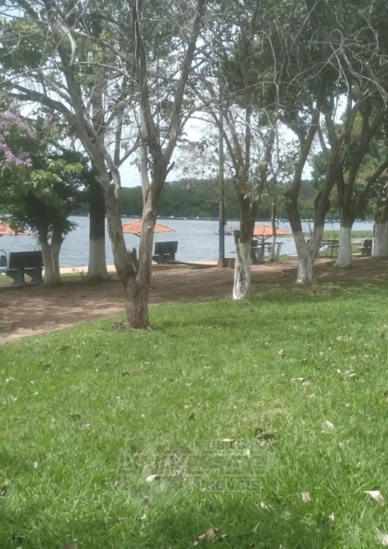 Fazenda / Sítio / Chácara com 2 quartos à venda, 870m² — foto 14 de 14