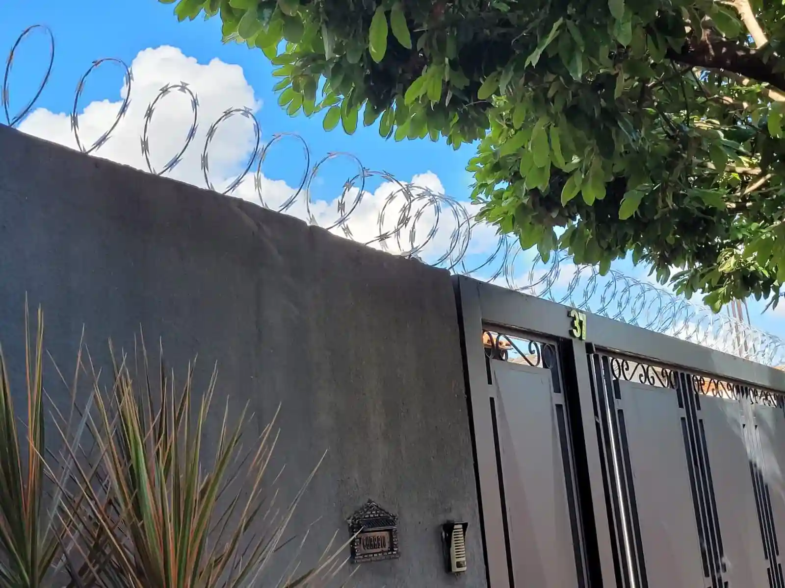 Casa com 3 quartos para aluguel, 240m² — foto 2 de 26