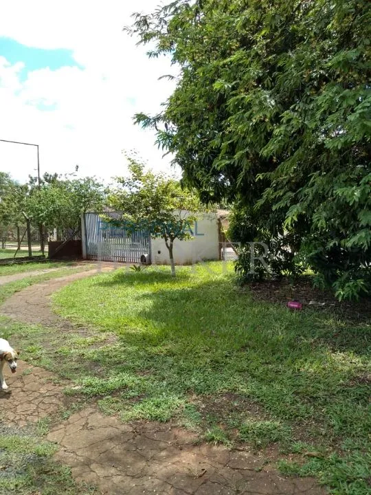 Fazenda / Sítio / Chácara à venda — foto 11 de 14