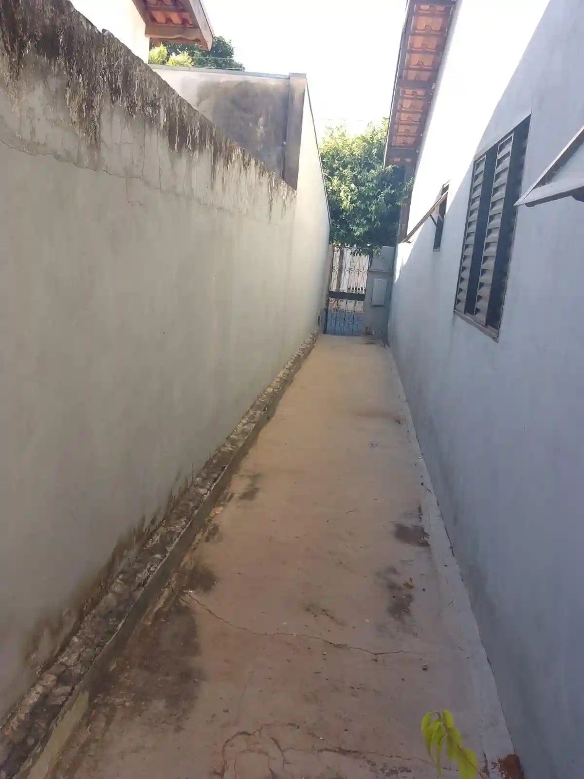 Casa com 1 quarto para aluguel, 30m² — foto 7 de 7