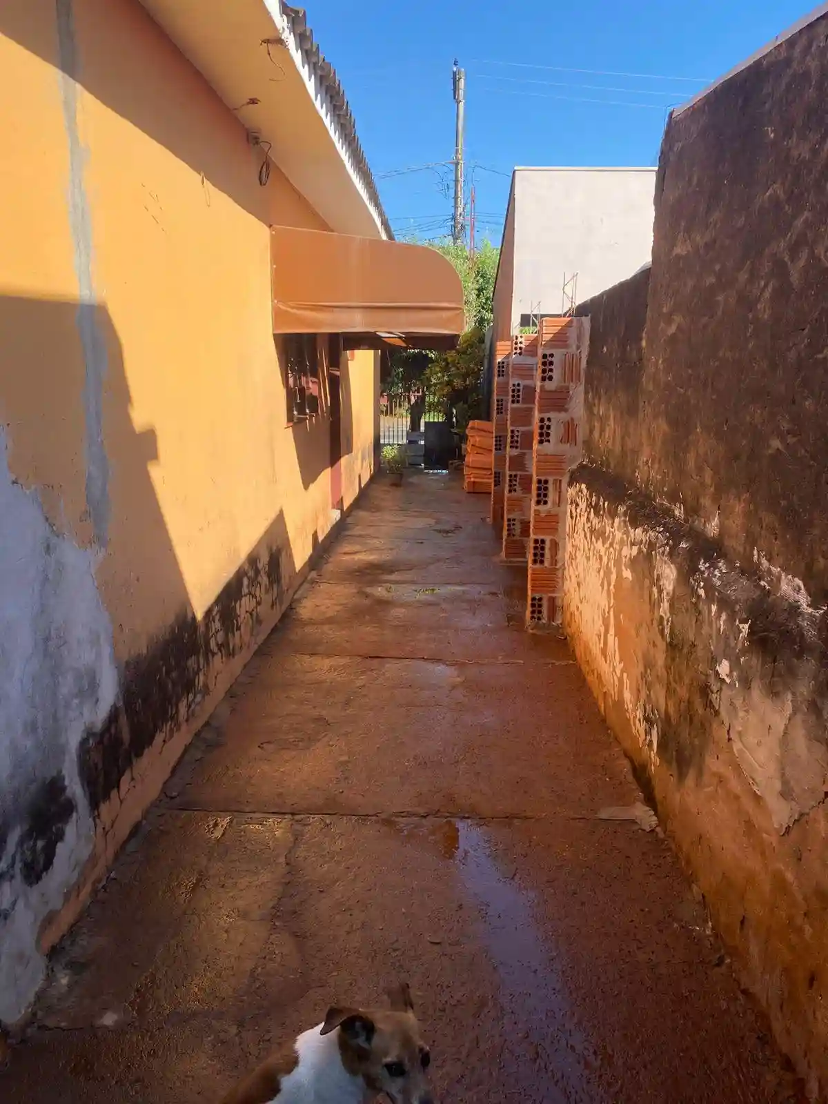 Casa com 1 quarto à venda, 90m² — foto 2 de 15