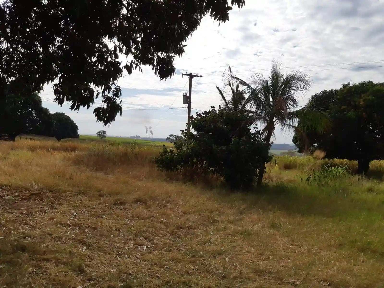 Fazenda / Sítio / Chácara  à venda, 30m² — foto 5 de 10