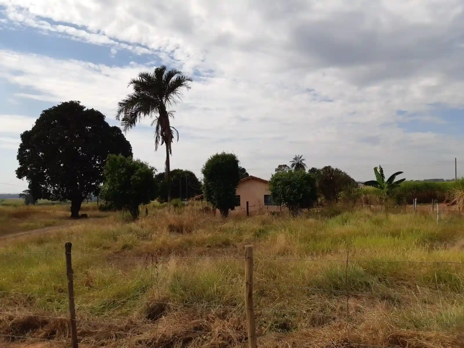 Fazenda / Sítio / Chácara  à venda, 30m² — foto 3 de 10