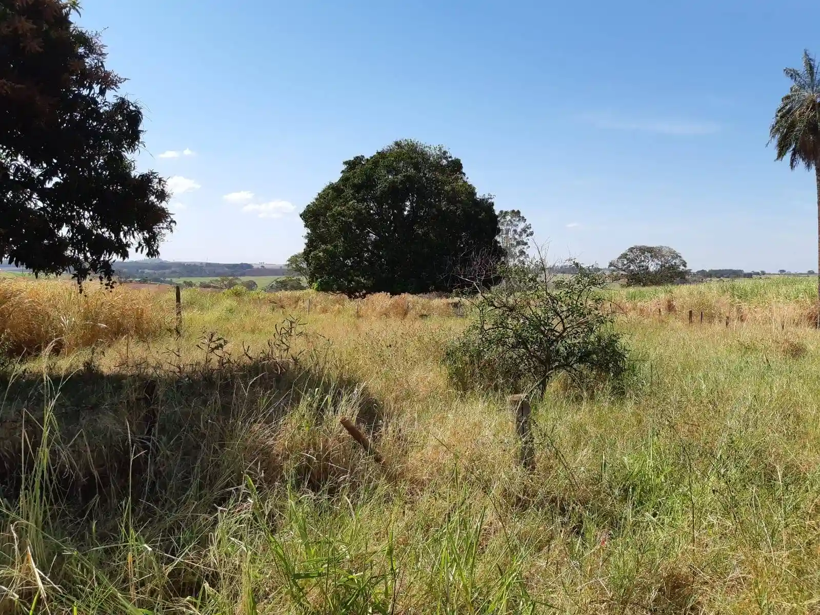 Fazenda / Sítio / Chácara  à venda, 30m² — foto 2 de 10