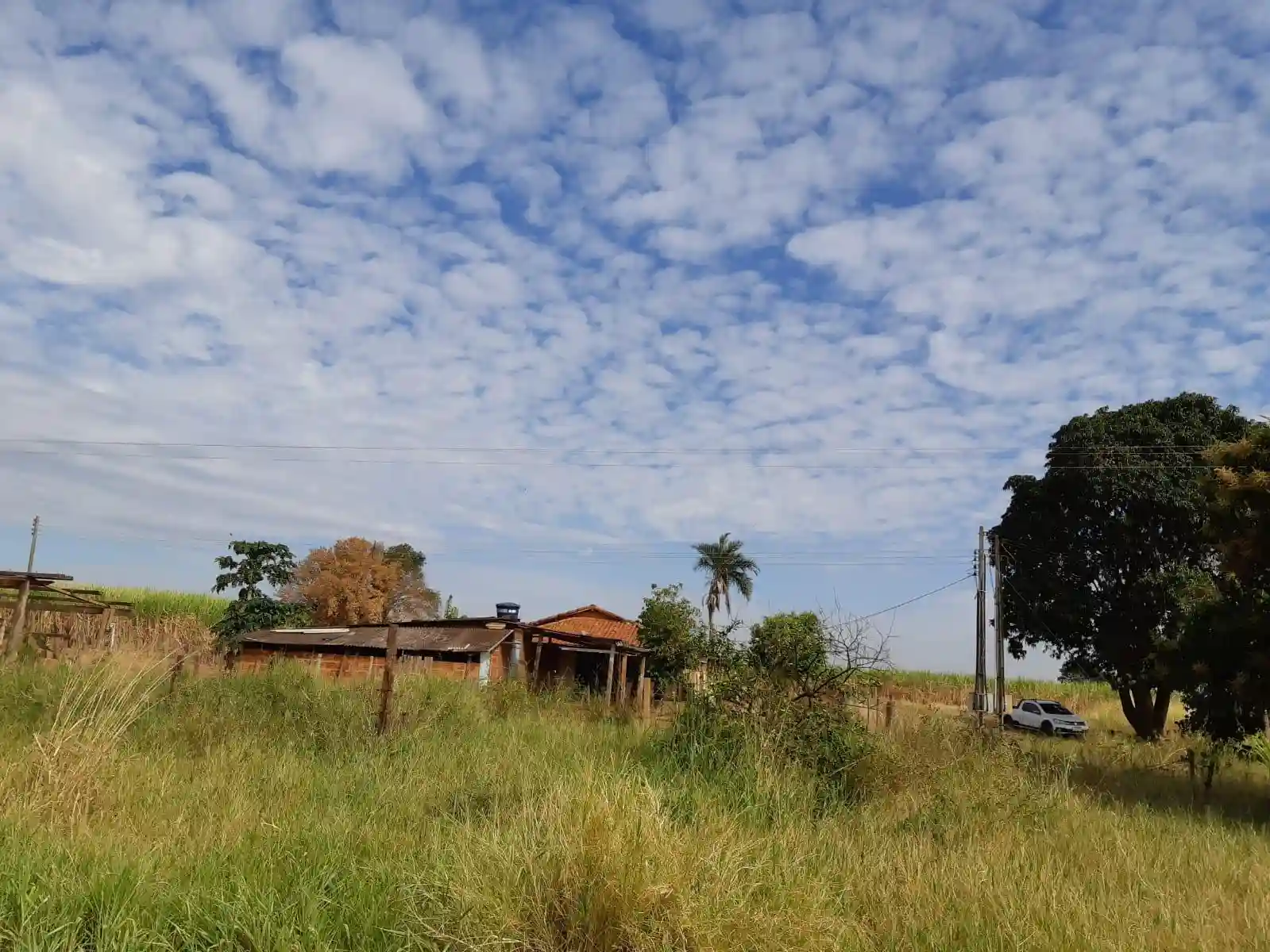 Fazenda / Sítio / Chácara  à venda, 30m² — foto 4 de 10
