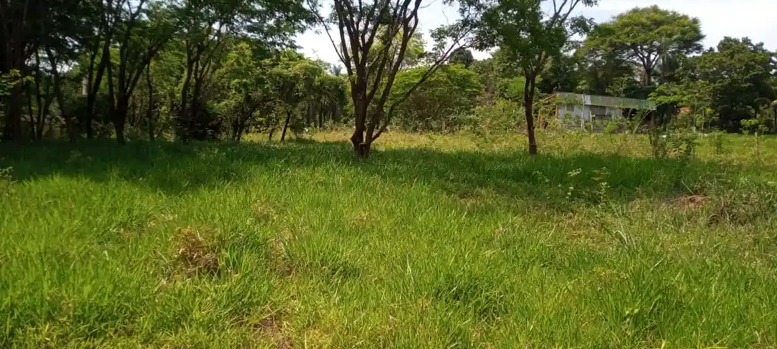 Terreno / Lote / Condomínio  à venda, 5700m² — foto 3 de 5