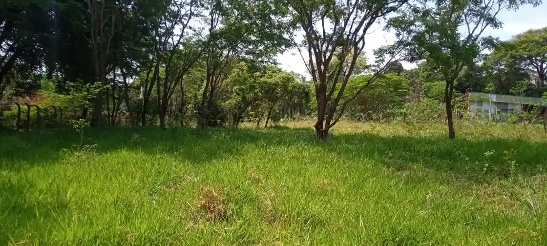 Terreno / Lote / Condomínio  à venda, 5700m² — foto 5 de 5