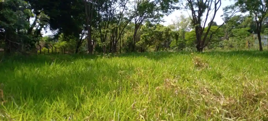 Terreno / Lote / Condomínio  à venda, 5700m² — foto 4 de 5
