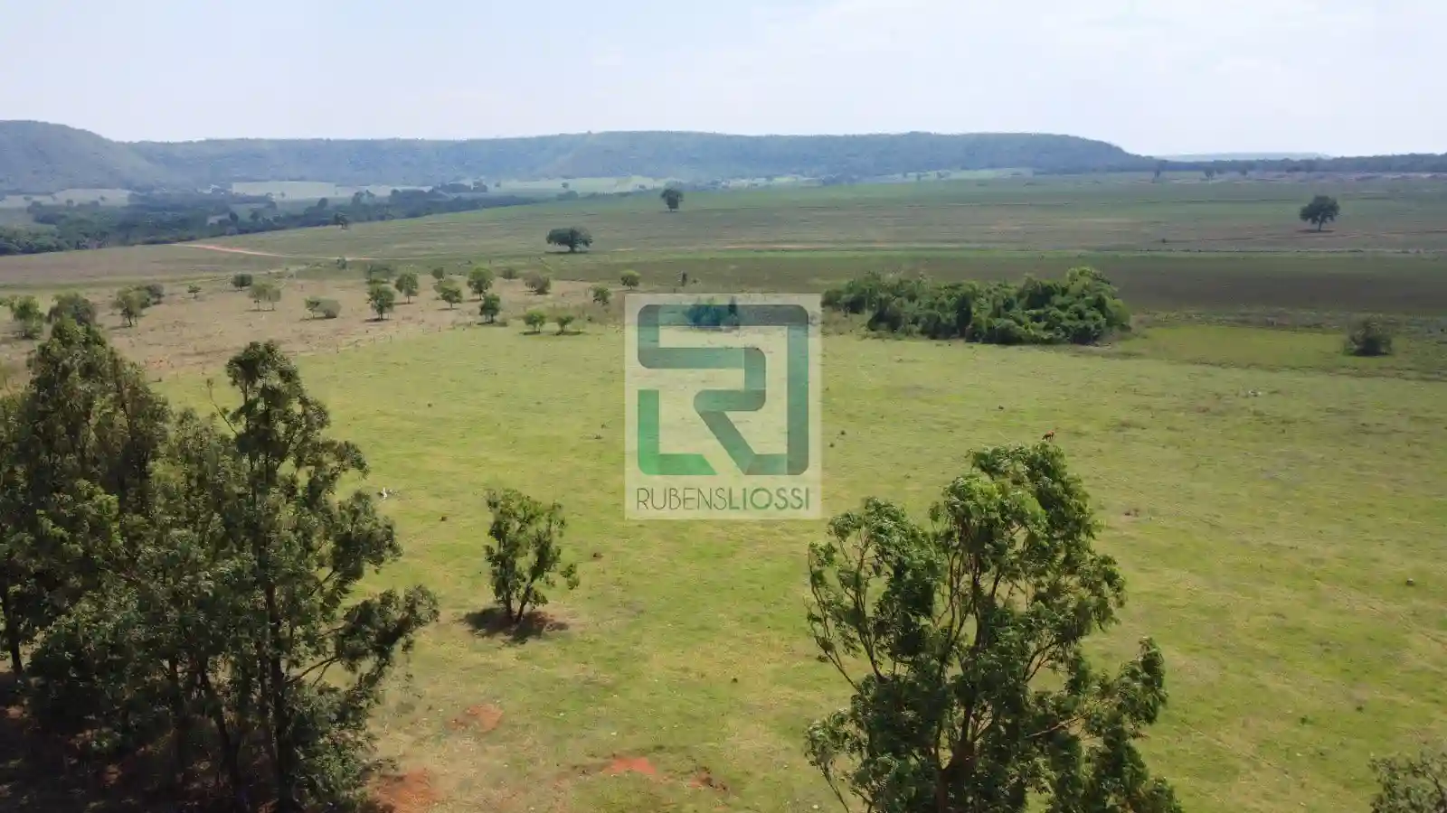 Fazenda / Sítio / Chácara  à venda, 2080000m² — foto 3 de 14