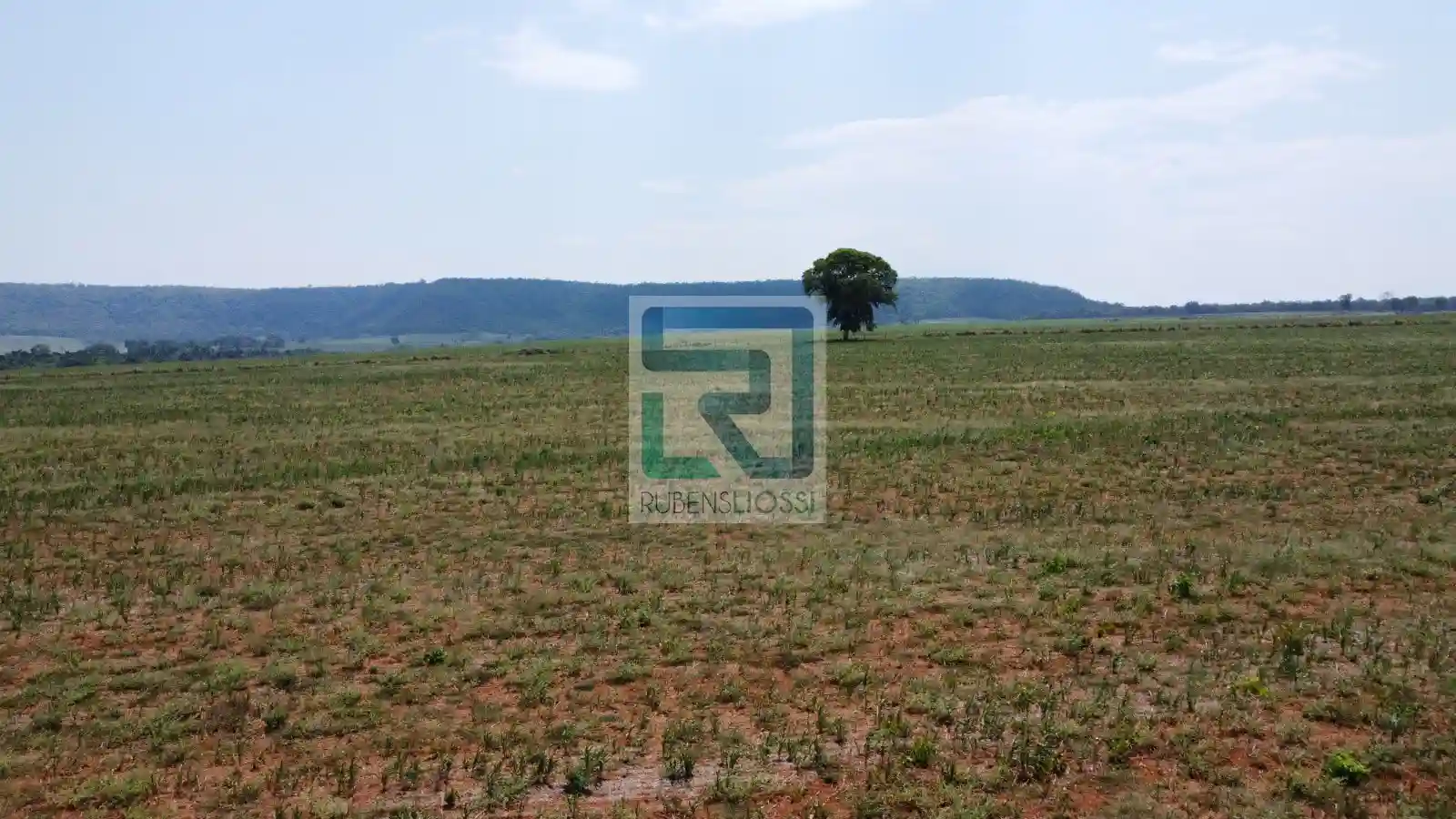 Fazenda / Sítio / Chácara  à venda, 2080000m² — foto 7 de 14