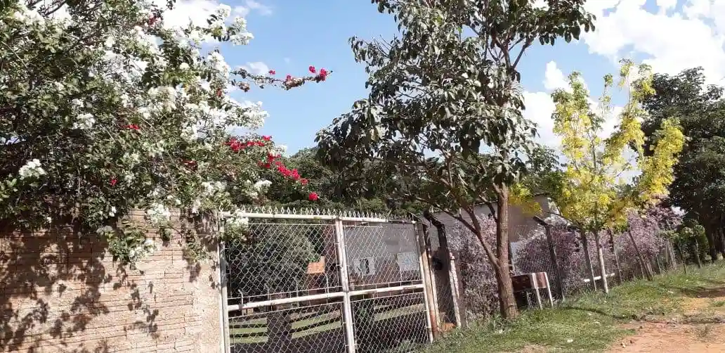 Fazenda / Sítio / Chácara com 2 quartos à venda — foto 3 de 6