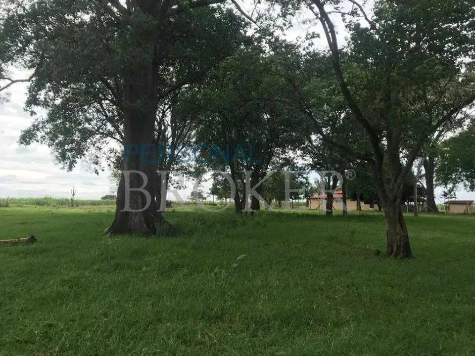 Fazenda / Sítio / Chácara à venda — foto 8 de 13