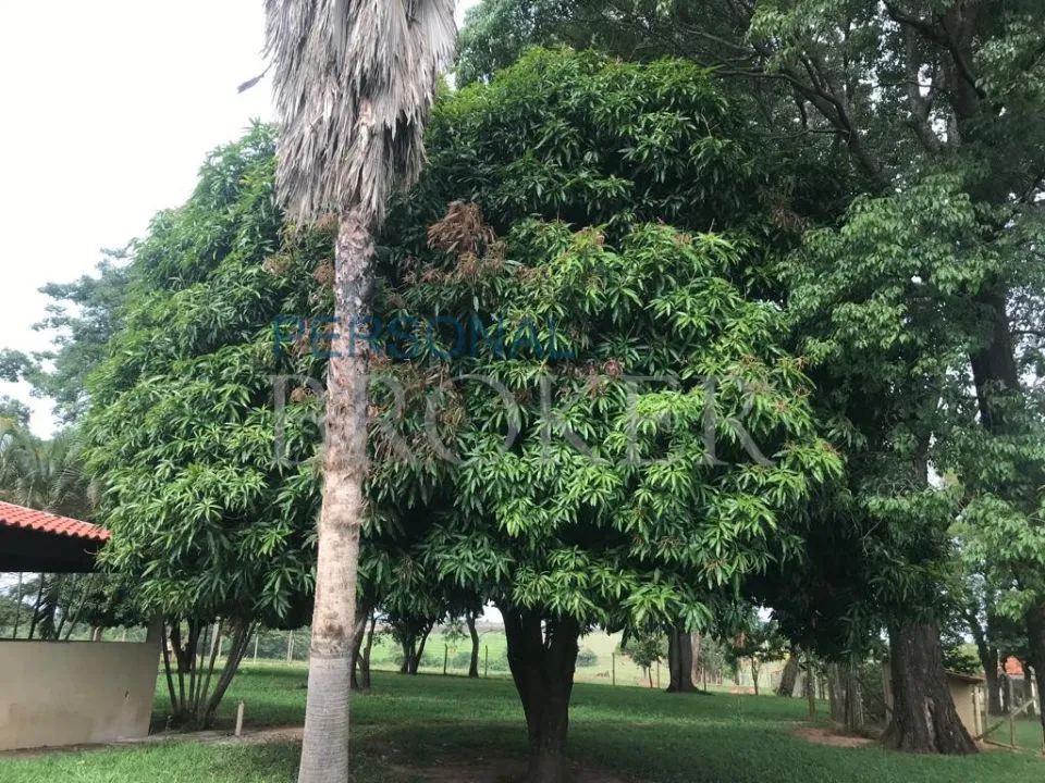 Fazenda / Sítio / Chácara à venda — foto 9 de 13