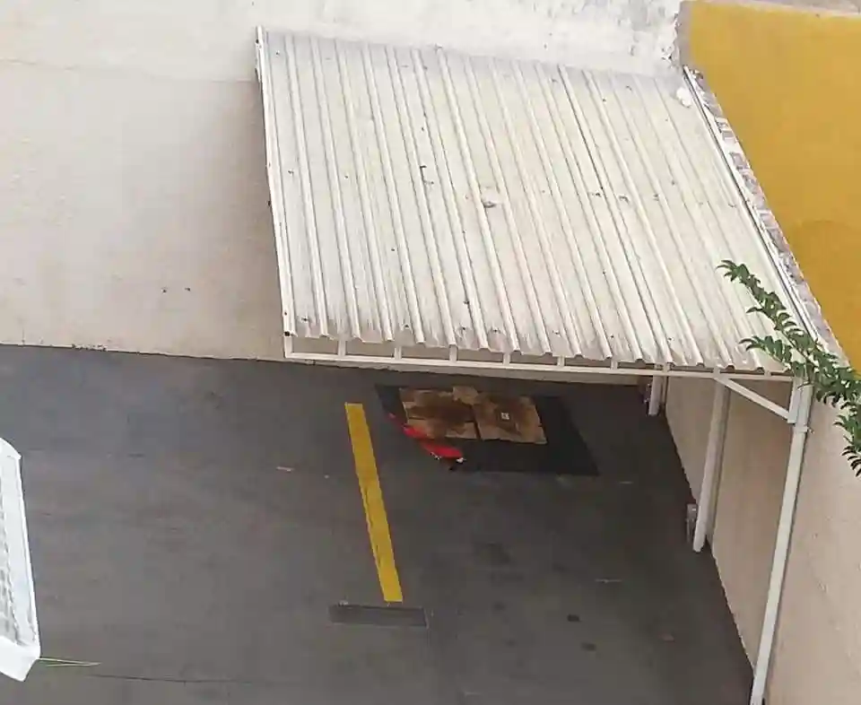 Apartamento com 3 quartos à venda, 94m² — foto 6 de 18