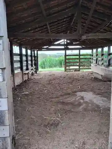 Fazenda / Sítio / Chácara  à venda, 96m² — foto 7 de 30